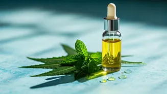 Beat the Heat: DIY Ayurvedic Hair Oil for Cooler Scalp and Stronger Strands This Summer