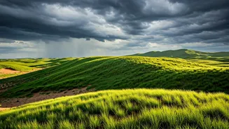 Green Dunes Give Jaisalmer Rare Monsoon Magic