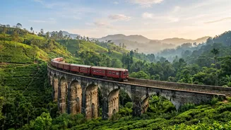 Indian Backpackers Take Advantage Of Visa-Free Entry For Quick 5-Day Sri Lanka Tours