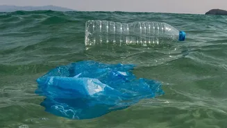 The New Ocean Iron Study Highlights Carbon Removal Trade-Offs
