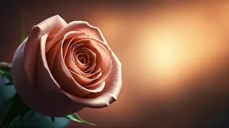 Ready for Romance? 4 Crucial Questions Before You Fall in Love Again