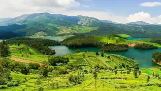 The ₹25,000 Fine Highlights the Fragility of Nilgiris Flowering Landscapes
