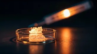 Heatwave Havoc: Could Extreme Temperatures Skew the Sex Ratio of Newborns?