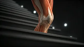 Knees Aching on Stairs, Fine Walking? Unraveling the Mystery of Stair Pain