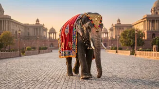 Mysuru Dasara And Other Dussehra Events Show The Tourism Value Of India’s Local Traditions