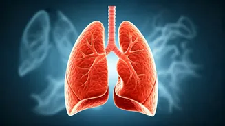 Boosting Cancer Survival: A Hopeful Trend