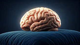 Sleep's Secrets: How Rest Impacts Your Health