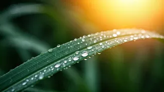 UP Weather: Sudden Warmth and Rain Forecast