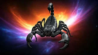 Scorpio Horoscope: December 12, 2025