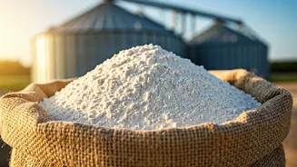 Related Stories banner