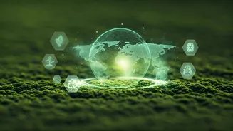 Stand Out In Green Markets With Specialized Sustainability Mapping Certifications