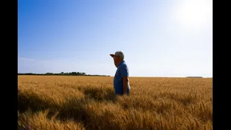Rising CO2 Levels Impact Wheat Protein Quality, Study Finds