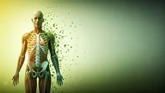 Conquer Bloating, Puffiness & Low Energy: Simple Steps to Revitalize Your Body