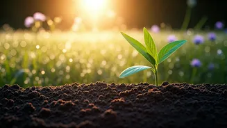 Celebrate Nowruz 2026: Embracing Spring and a Fresh Persian New Year!