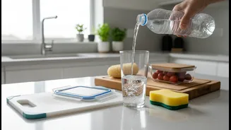 Everyday Kitchen Choices That Could Influence Microplastic Exposure Levels