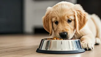The Ultimate Dog Parenting Playbook: Nurturing Your Canine Companion