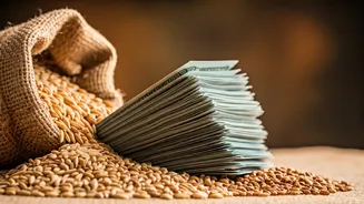 India's Trade: US Tariff Cuts and Export Growth