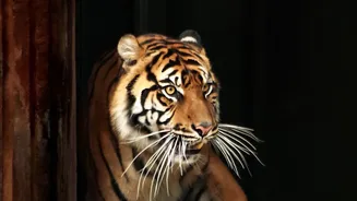 India’s First Urban Night Safari Could Be A Fresh Attraction For Family Travellers