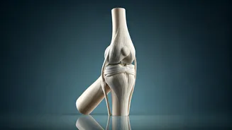 5 Workouts to Ditch: Protecting Your Joints for a Healthy Future