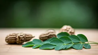 Moringa Can Improve Your Hair's Health