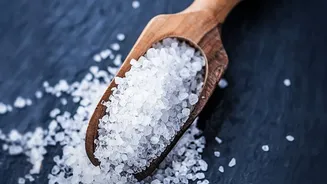 Rinse Food Scoops after They Contact Oily or Wet Food