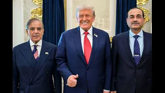 Pakistan Begged US For Help As India Showed Its Might With Op Sindoor, Documents Reveal