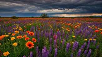 Pre-Monsoon Blooms Bring Colour Before Rain Chaos