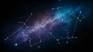 Daily Horoscope: February 1, 2026 - Predictions for All Signs