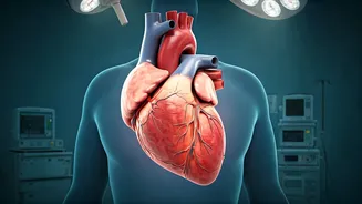 Mumbai Bizman's Marathon Dream After Heart Transplant