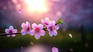 Related Stories banner