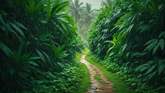 Kerala Gets Rain First And Travel Deals Too