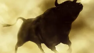 Volatile Stock Market: Could Increasing Your SIP Fit Your Long-Term Plan?