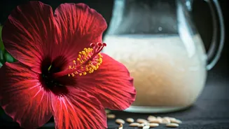 Supercharge Hibiscus Flowers Naturally Using Leftover Diluted Rice Water