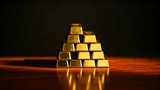 Stanbik Agro IPO: Decoding the Investment Opportunity