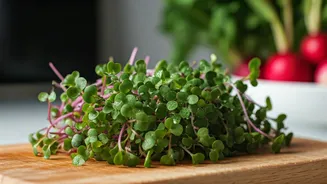 Boost Meal Nutrients Using Home Grown Broccoli And Radish Shoots