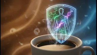 How Regular Coffee Intake Supports Internal Anti-Oxidant Shields According To Molecular Papers