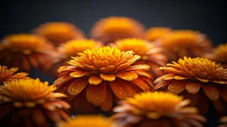The Best Monsoon Styling Advice Features Native Marigolds