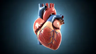 Teen's Heart Journey: From Patient to Surgeon