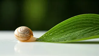 Why Indian Skincare Enthusiasts Swap Snail Mucin For Botanicals