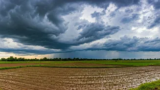 How India's Fields Depend On Seasonal Rain