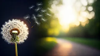 5 Parenting Pitfalls: When Not to Scold Your Child & What to Do Instead