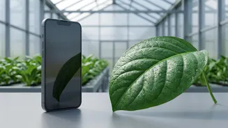 Saving Harvests With AI: Low-Cost Smartphone Sensors Help Maharashtra Farmers Beat Diseases
