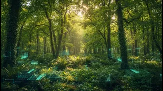 India's Future Vegetation Growth Forecasts: Understanding Climate Models, Carbon Effects And Plant Growth Without The Jargon