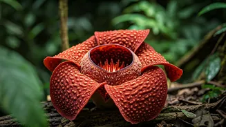 5 Smelliest Flowers: Nature's Pungent Wonders