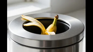 Vastu Tip: This One Kitchen Habit Can Lead To Illness, Anger And Tension At Home