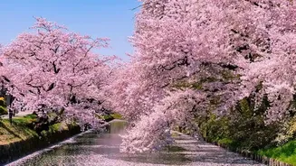Top-Rated Japanese City Parks That Offer Unmatched Scenic Beauty In Every Season