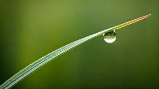 Embrace Inner Peace: 6 Japanese Philosophies to Calm an Overthinking Mind