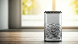 All-Year Air Purifiers: Your Guide to Clean Air