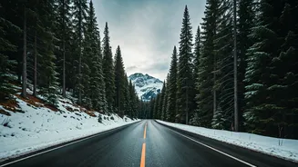 Escape the City: Top 10 Hill Stations Near Delhi This Winter