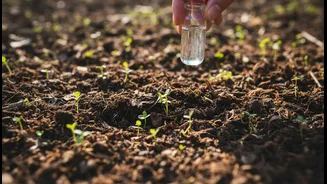 Researchers See New Potential In Community-Led Climate Evidence